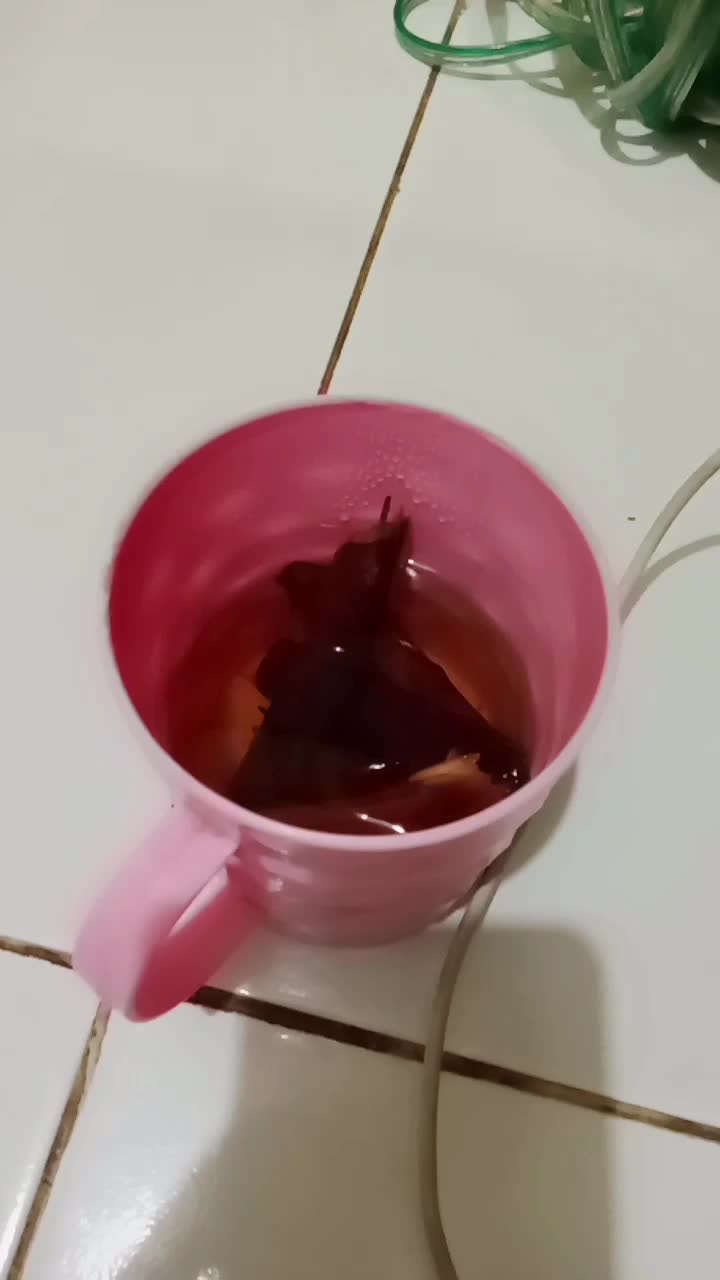 Obat khusus pria 😊😊