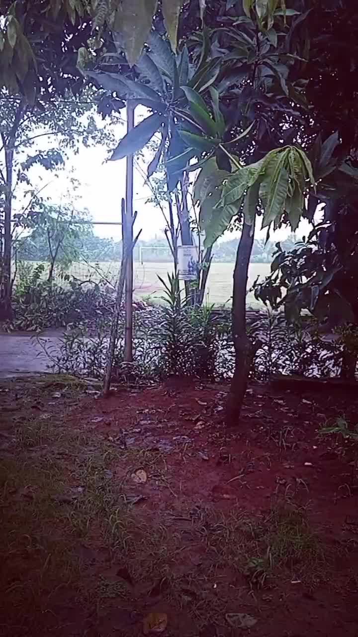 bosen