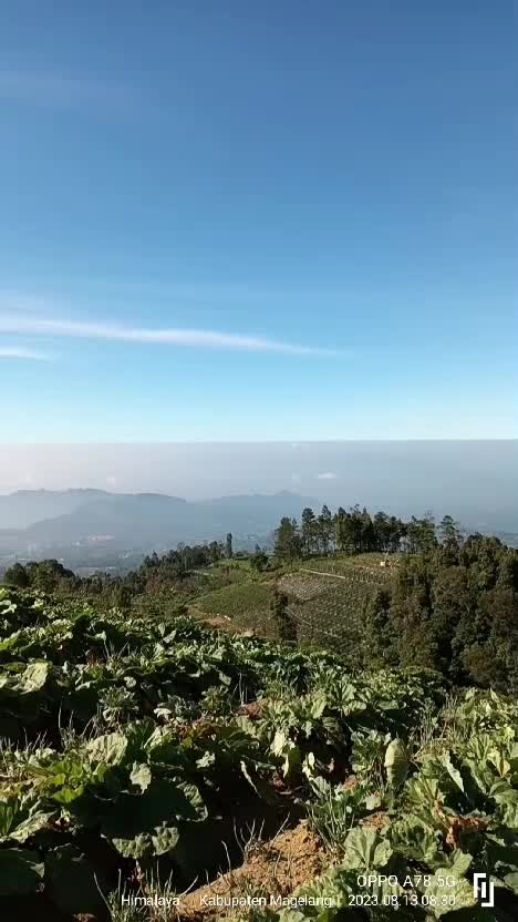 Pemandangan indah Gunung Sumbing #petanikentang