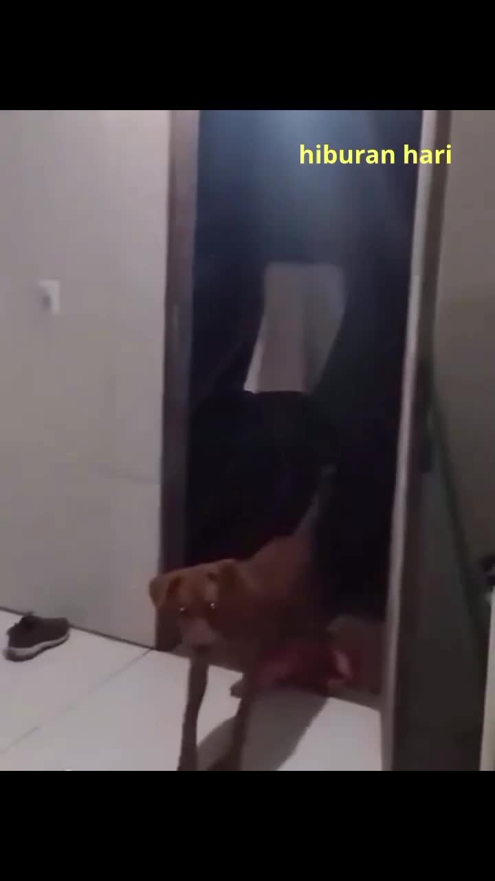 miniecraft dubing 😂😂😂😂😂😂
 #short #shortplus  #funnyvideo #lawak #viralfyp #hiburan  #lucu #fypシ゚viral 