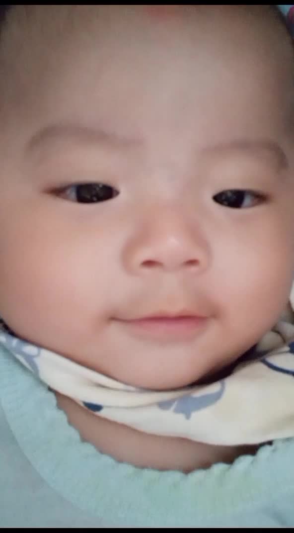 Bebe bebe bebe