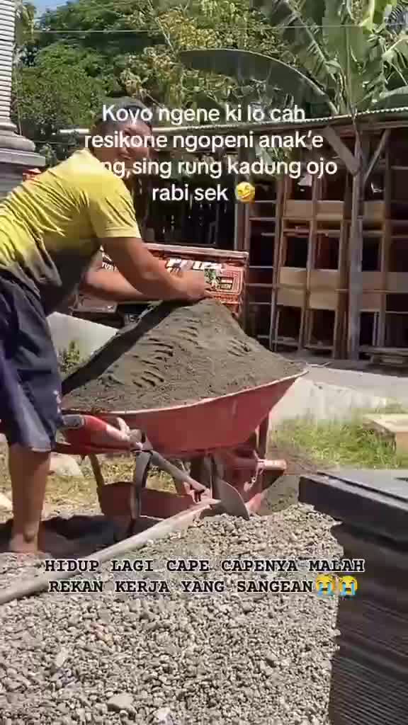 djndjd