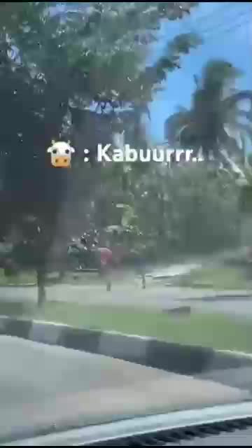 ubur-ubur ikan lele,
kabur dulu le