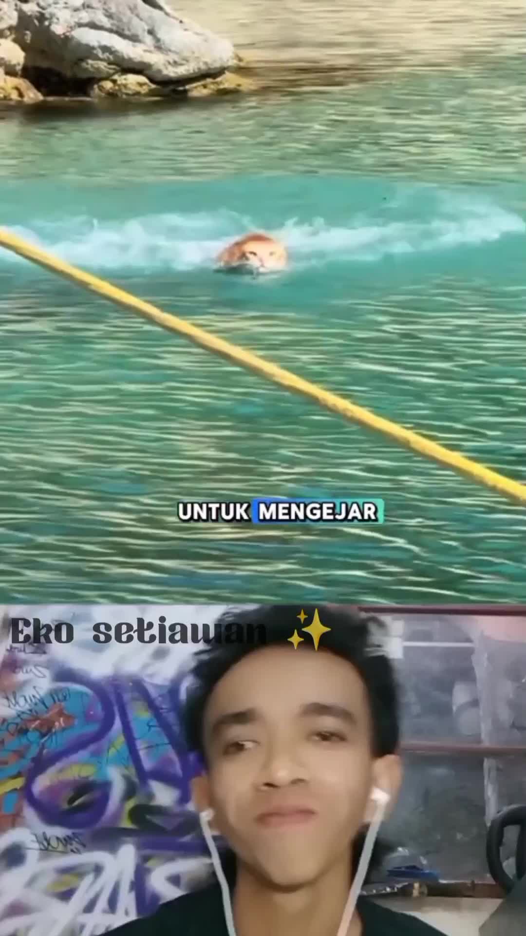 para kucing pelaut☺️😍 #duett #reactiont #fyp #virall #RCTIPlus 