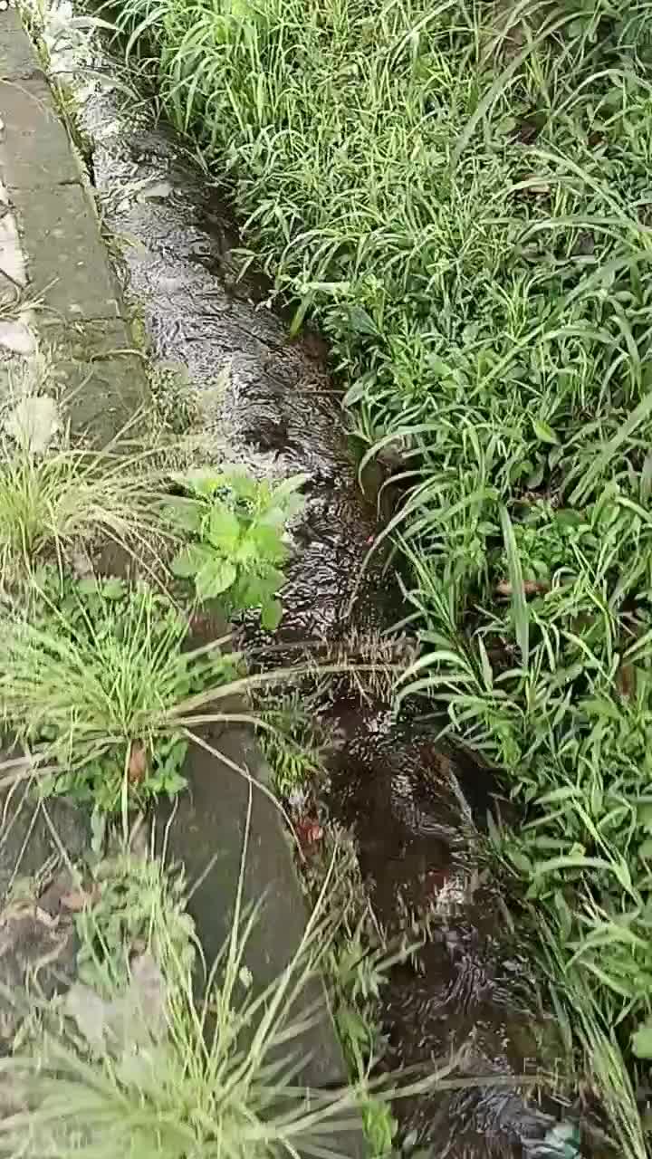 airnya jernih banget
 #short  #HOTrctiplus  #RCTIPlus  #fyp 