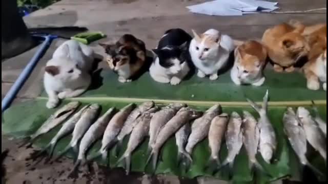 ceramah dulu sebelum makan