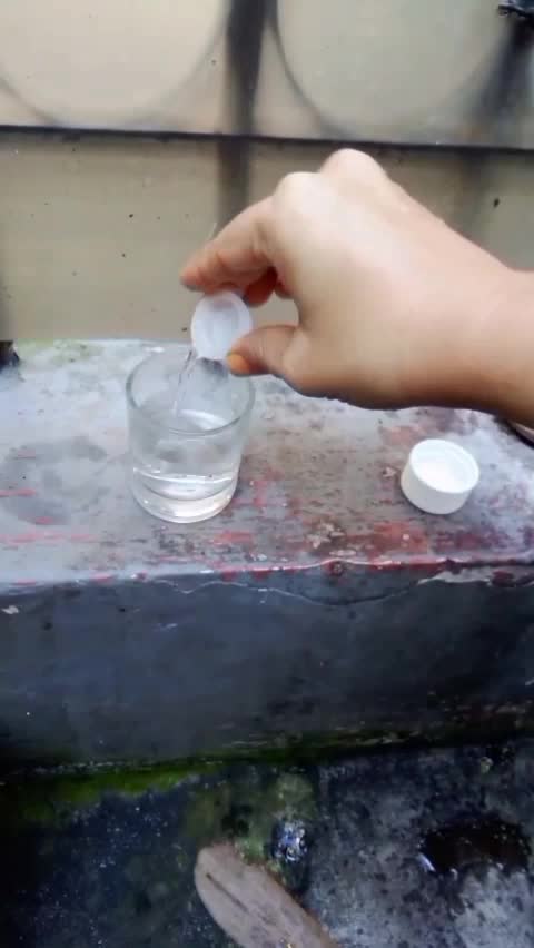 tips menanam daun bawang anti gagal  #tipsmenanam  #daunbawang #berkebun  #berkebundipekarangan  #vitaminb1