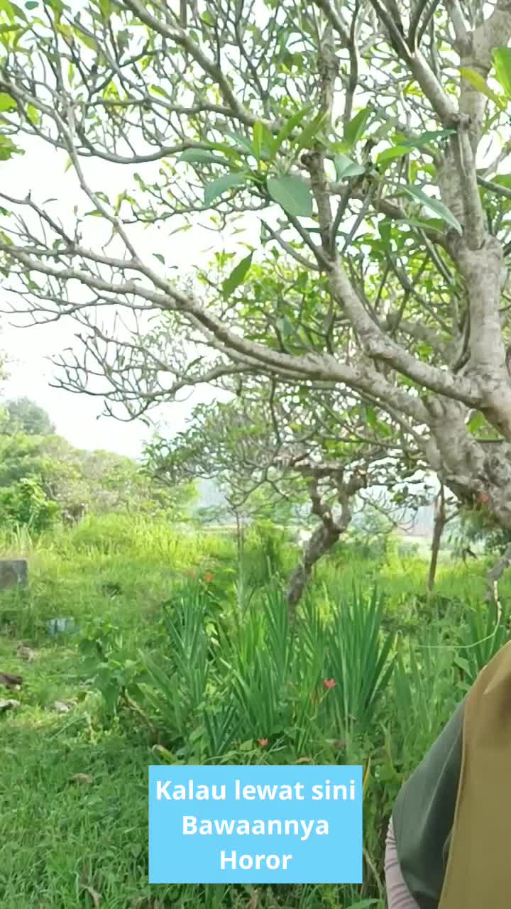 suasananya horor banget
 #short  #HOTrctiplus  #RCTIPlus  #fyp  #horor 