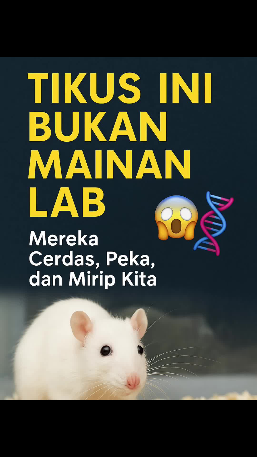cover-image