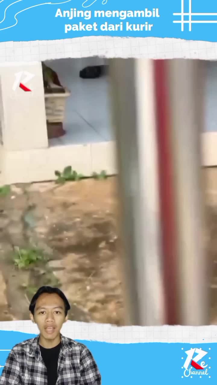 anjing yang pintar dan jinak bisa
mengambil paket dari kurir
#RCTIPlus 
#RCTIoke 
#HOTrctiplus 
#fypシ゚viral 
#1TRENDING
#shortplus 
#faktara