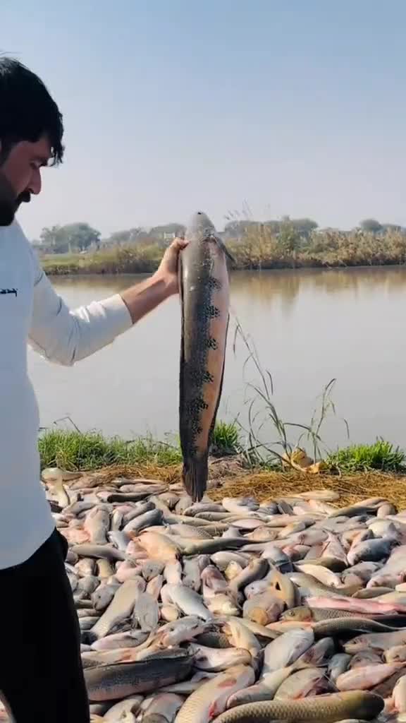wow dapat banyak ikan