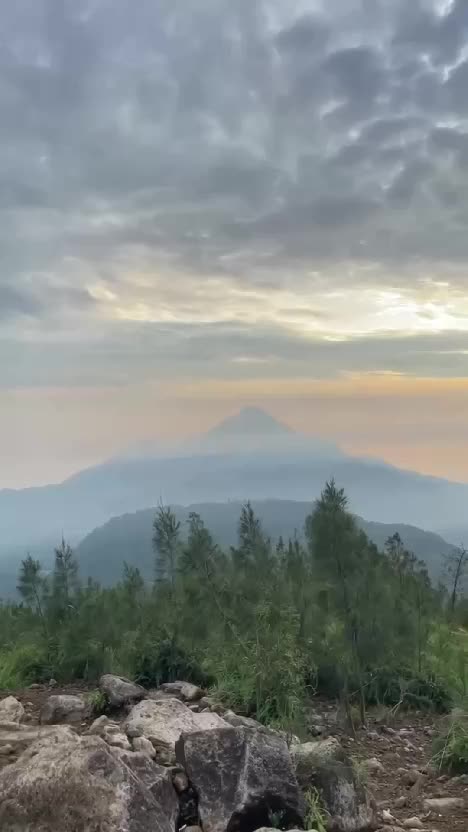 Semua Terbayarkan #short #RCTIPlus 