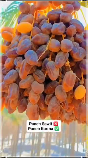 MasyaAllah 😇 #RCTIPlus  #HOTrctiplus  #fypシ゚viral 