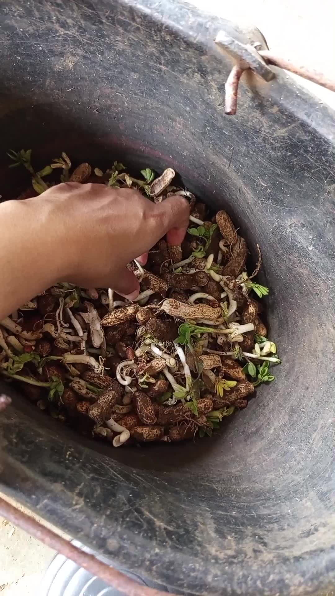 ada yang pernah masak ini? 