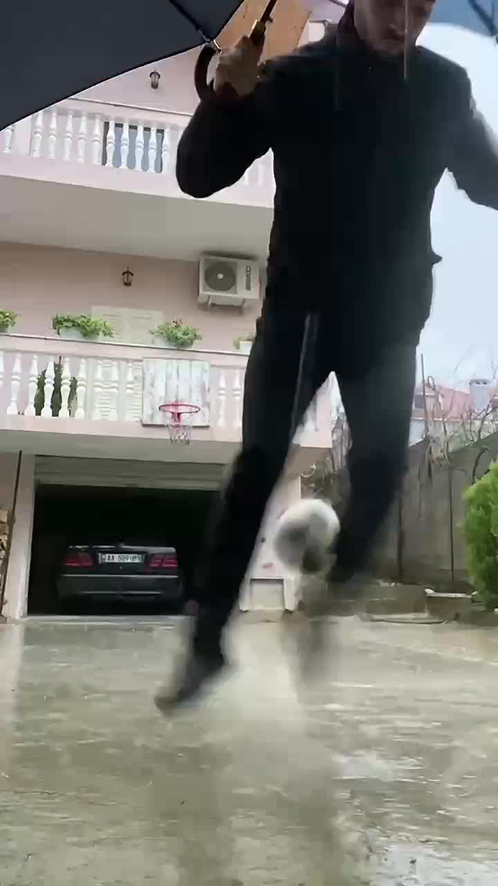  #Skillcooking   #videokocak 