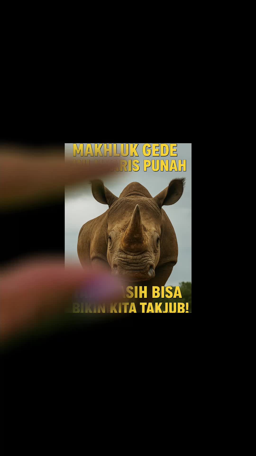 cover-image