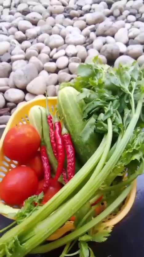 Pupuk Manohara, optimalkan panen di kebun shaka #pupukboron #pupukpertanian #optimalkanpanen #pu0ukmanohara