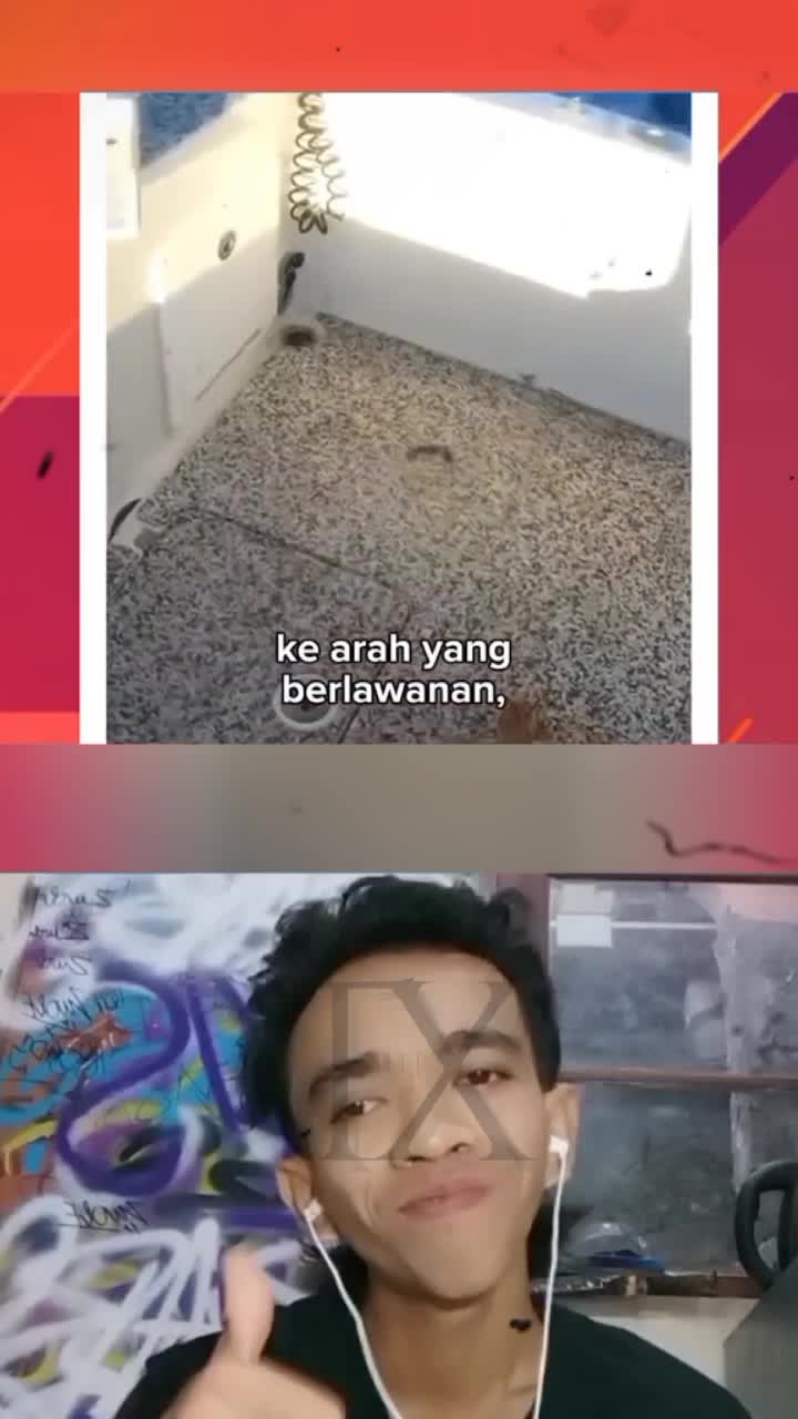 momen haru seorang nelayan yang menolong penyu yang endingnya tidak terduga 😍 #reactiont 