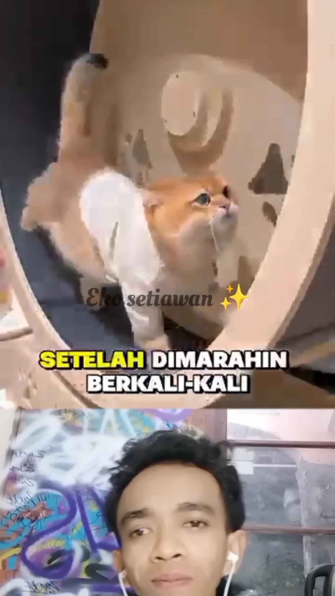 kerjaannya oyen tiap hari cuma makan rebahan tidur ?