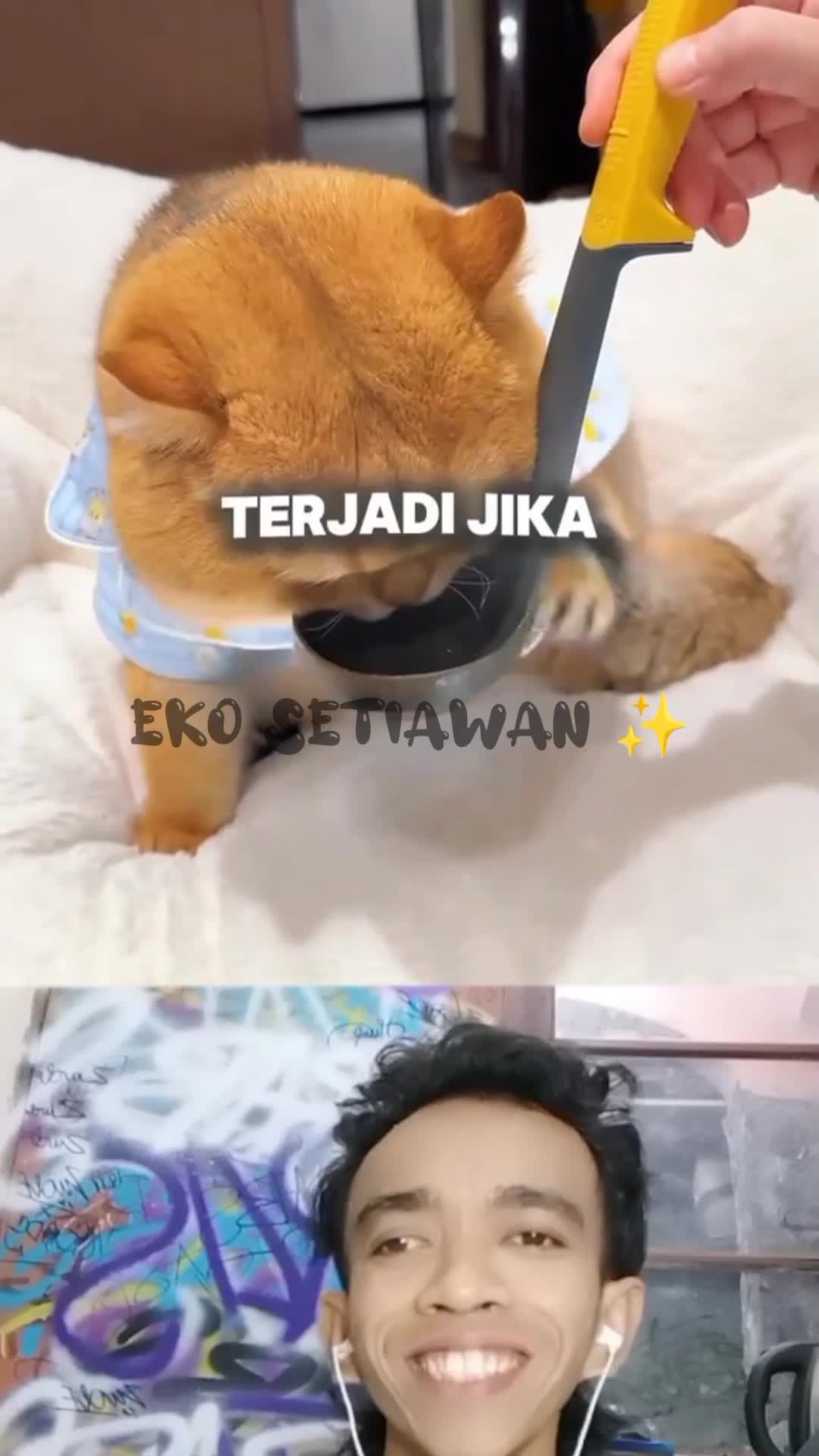 kucing ini sedang sakit???