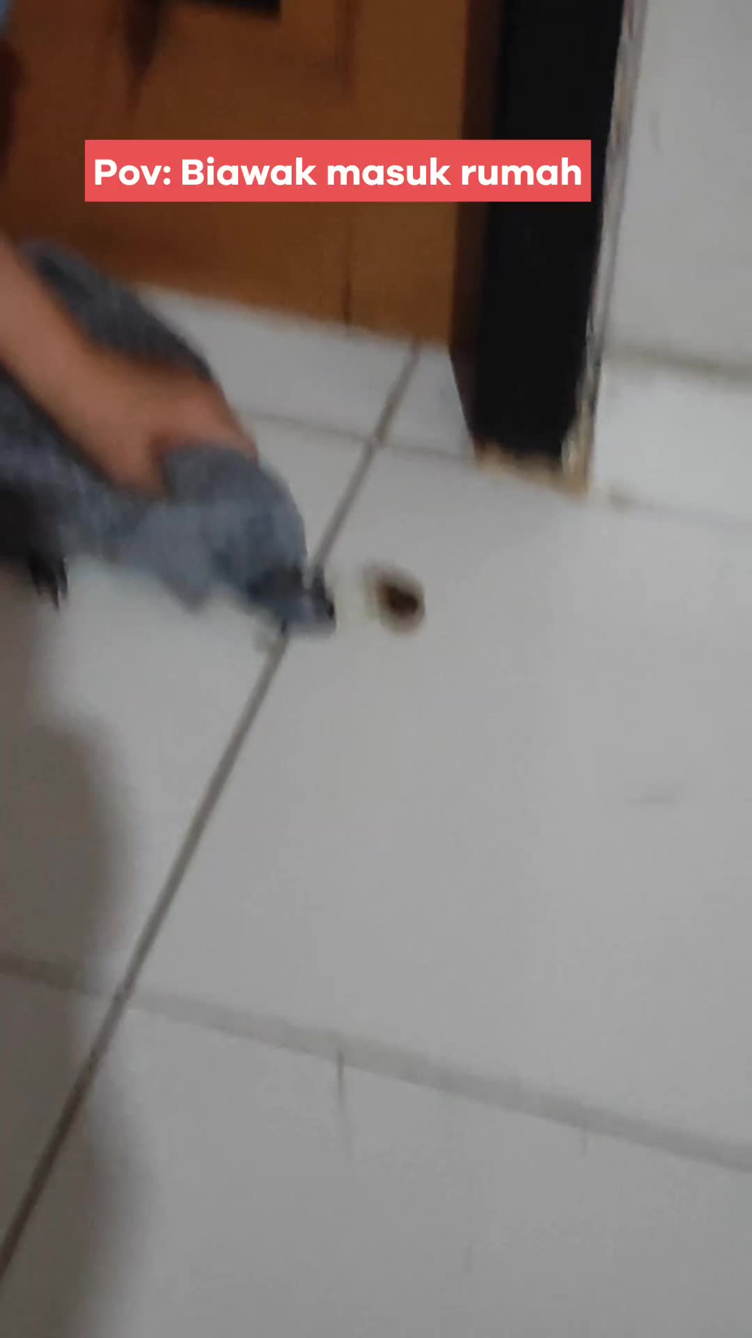 #videolucu  # fyp #Viral 