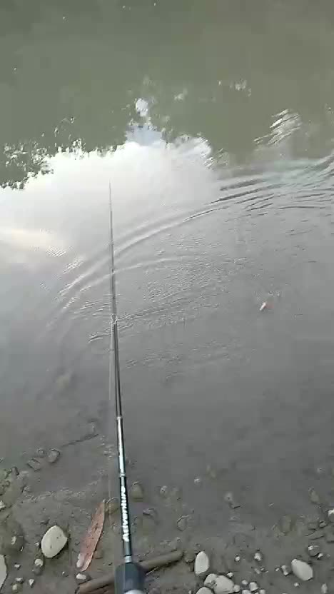 test action lure wtd splash #lurefishing #fishing #shorts 