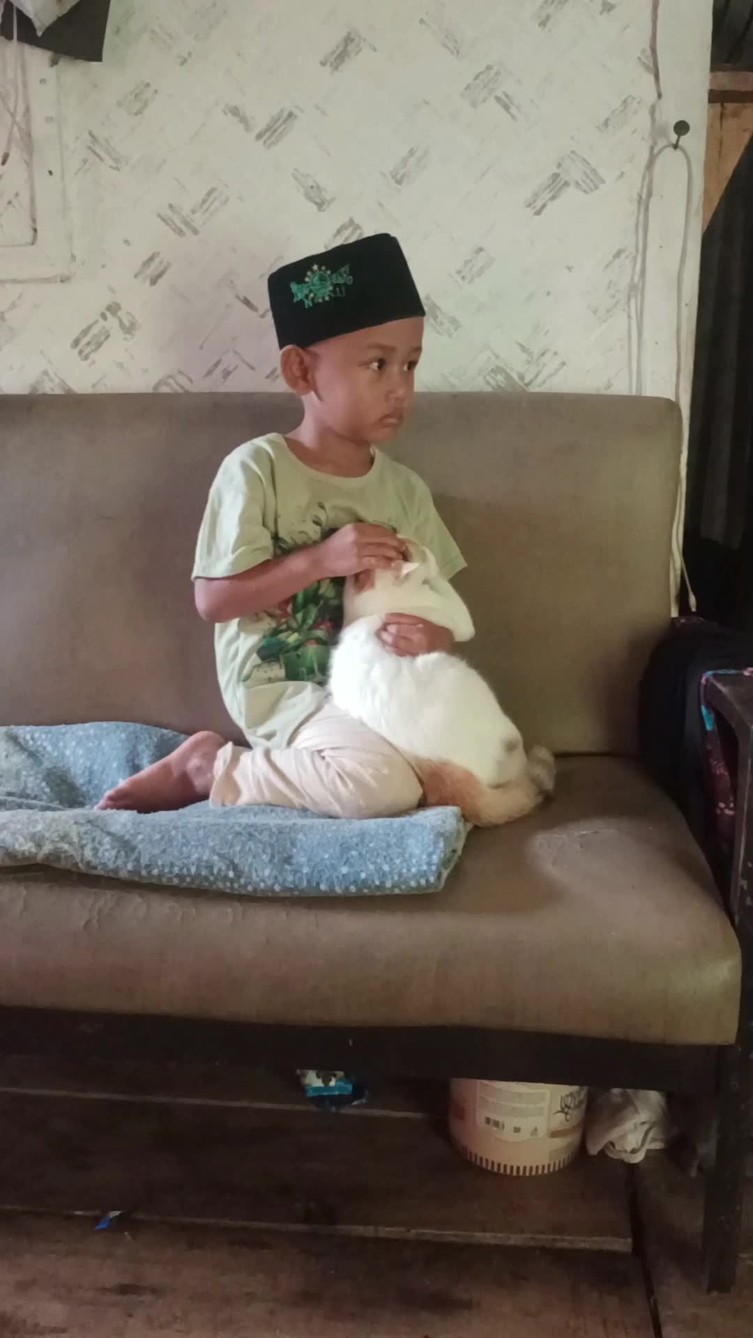  #fyp  #fypシ  #fypシ゚viral  #Viral  #tranding  #short  #shortplus  #RCTIPlus  #HOTrctiplus  #RCTIoke  #rcti  #HomeOfTalentRCTIPlus  #hotrcti 