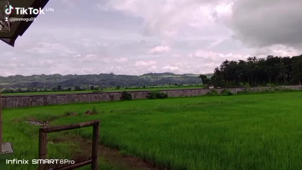 pesona alam