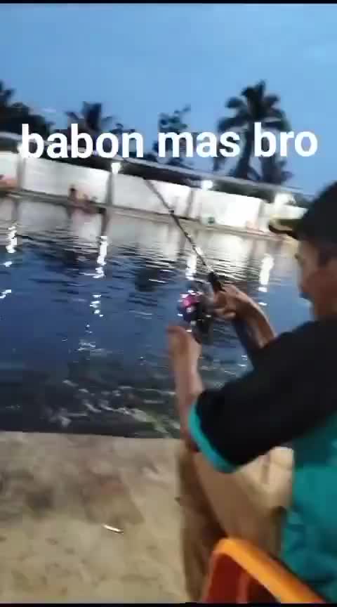 Babon mas terberat akhirnya menyerah juga.. juara 2 total