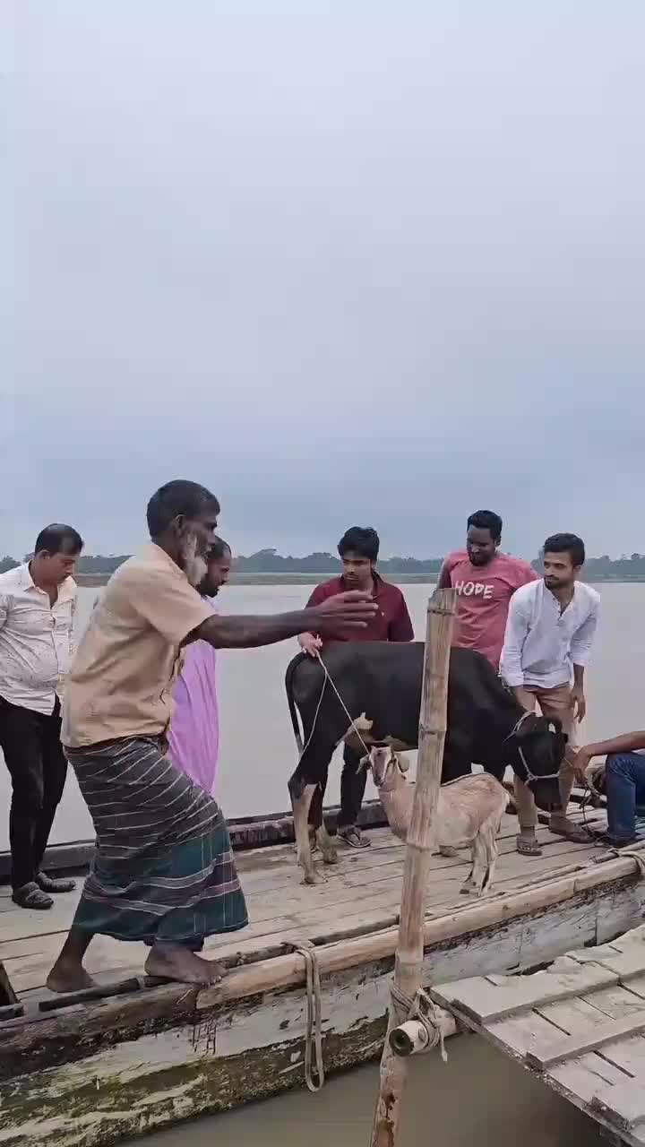 nyebur lagi #videolucu  #lucu 