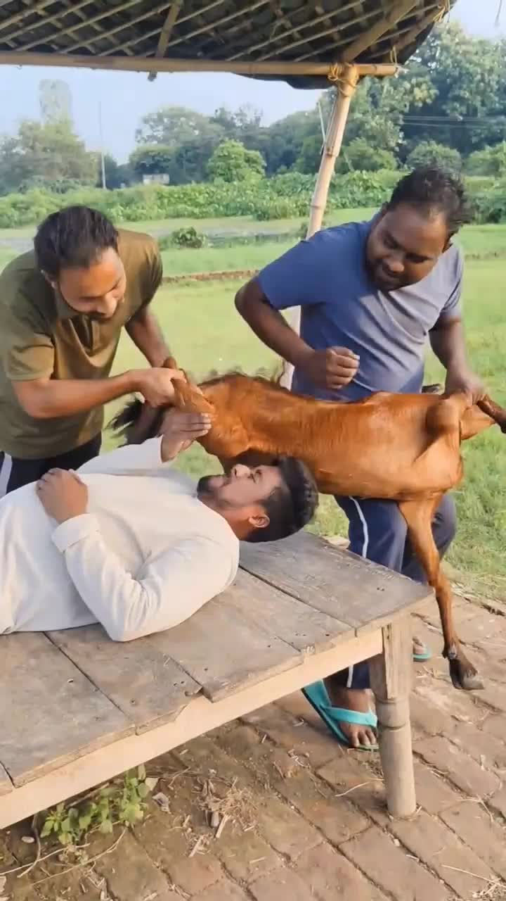 dikiranya es krim #videolucu  #lucu  #komedi 