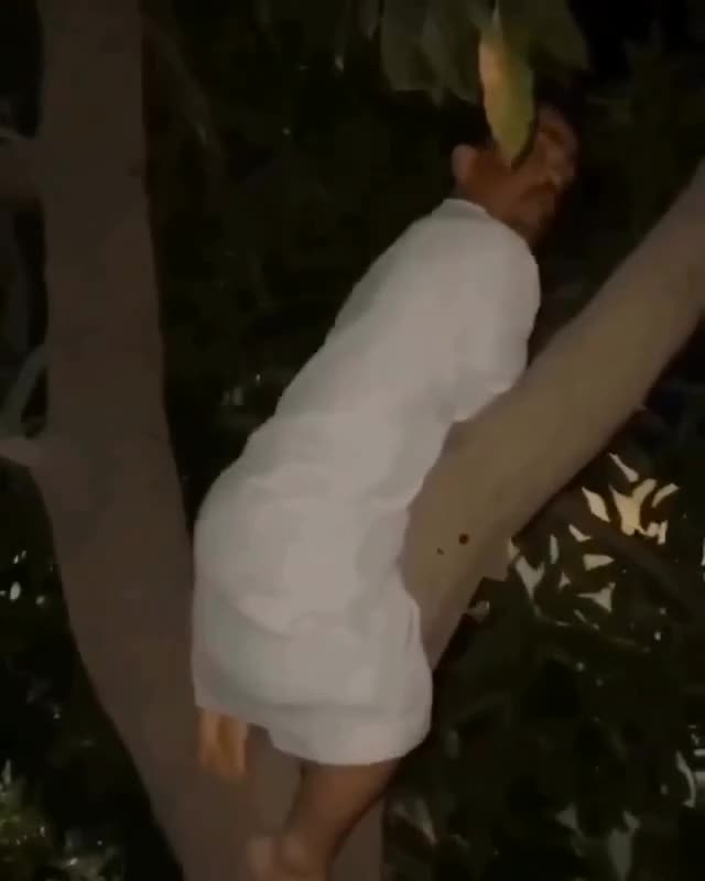 #337 Si ucil ga bisa turun 😂😂

#videolucu #prank 