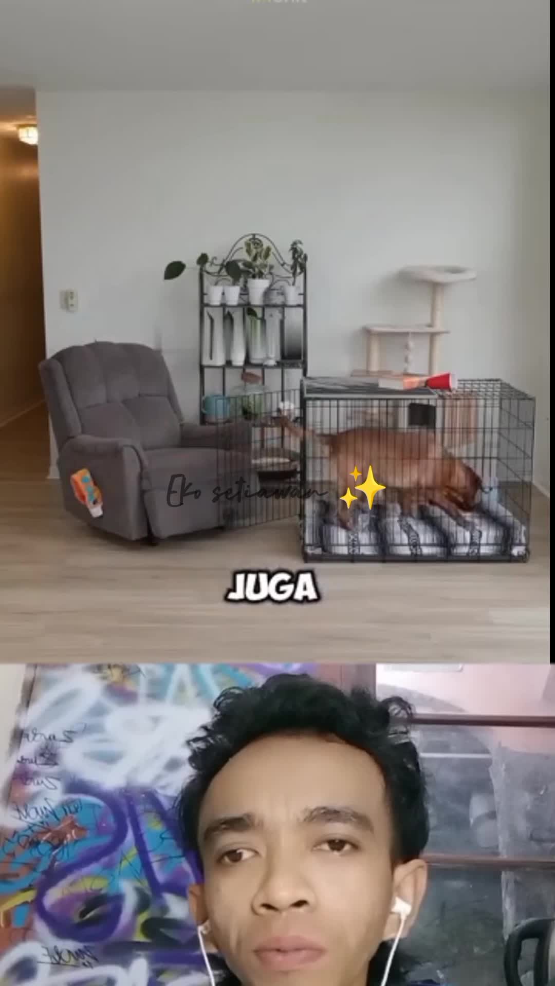 si kucing pintar ? menjebak si anjing agar masuk ke rumah nya?