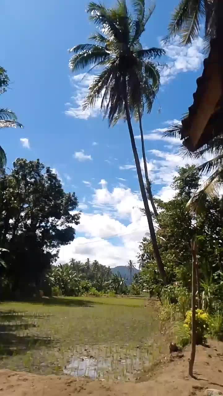 mantap