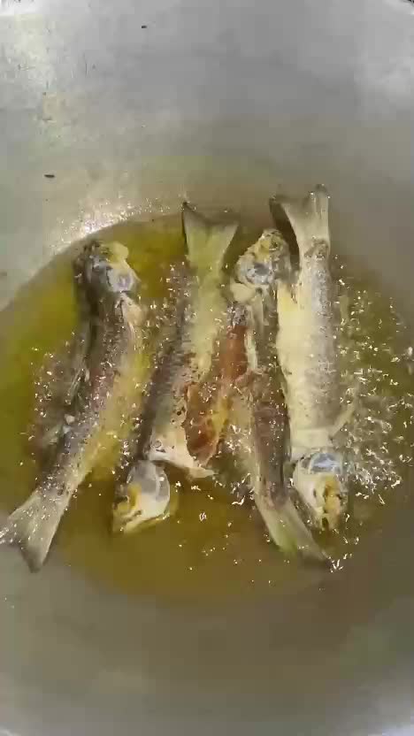 Pesmol Ikan Belanak ??