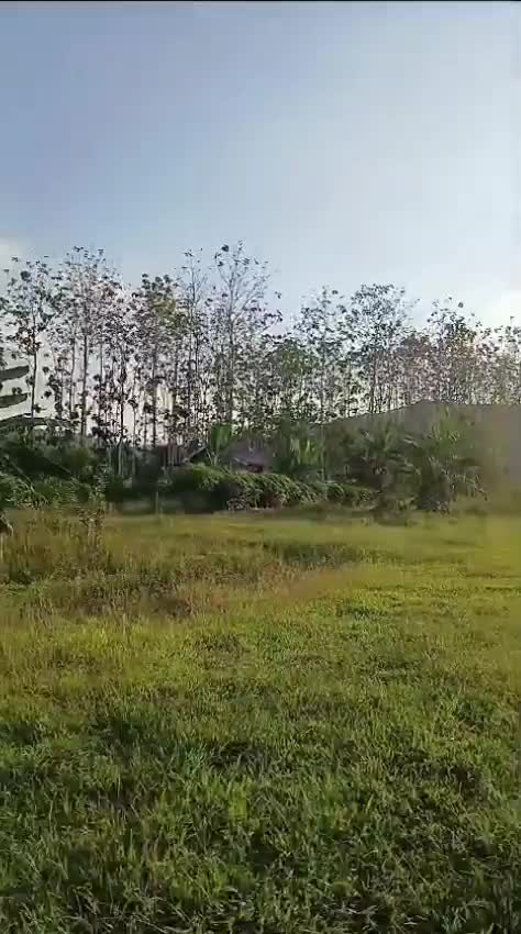 Rahia State