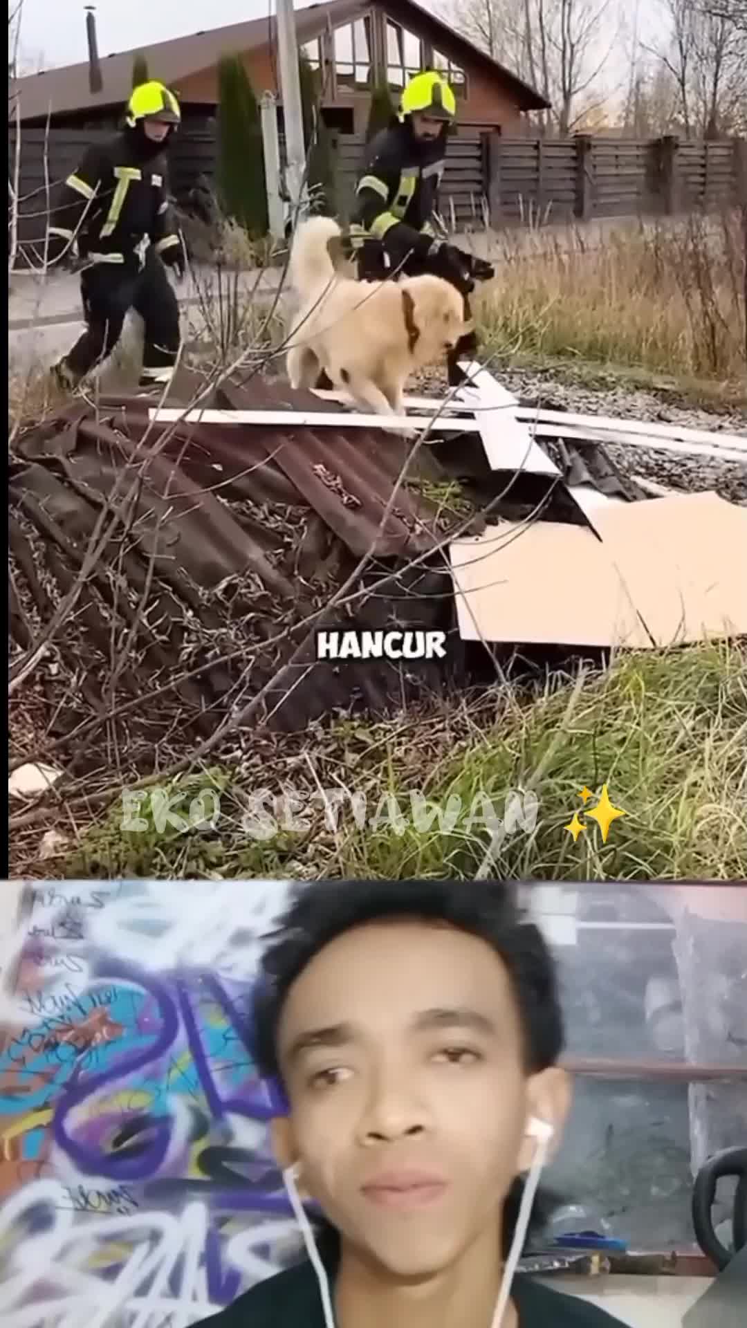 anjing ini punya rasa peduli yang tinggi ?????