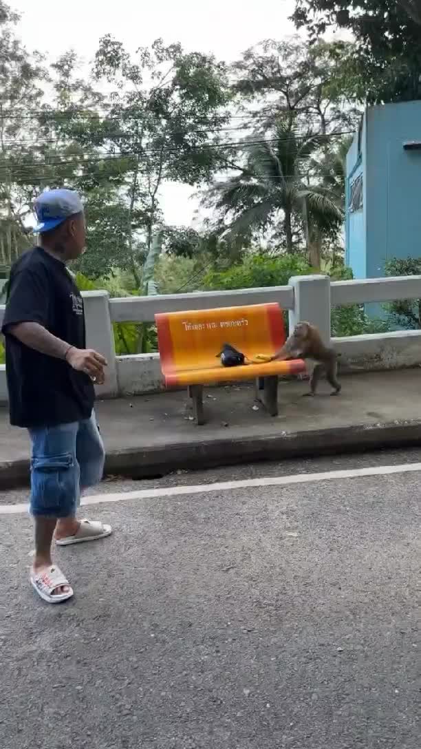 #45 🤣🤣🤣🤣🤣