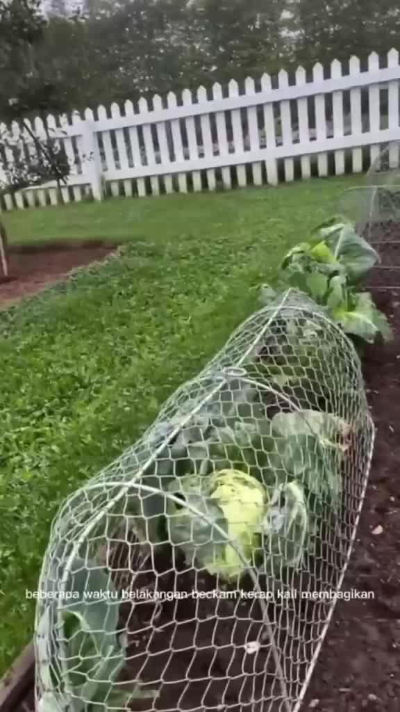 Pensiun dari sepak bola, Bintang lapangan ini pilih berkebun