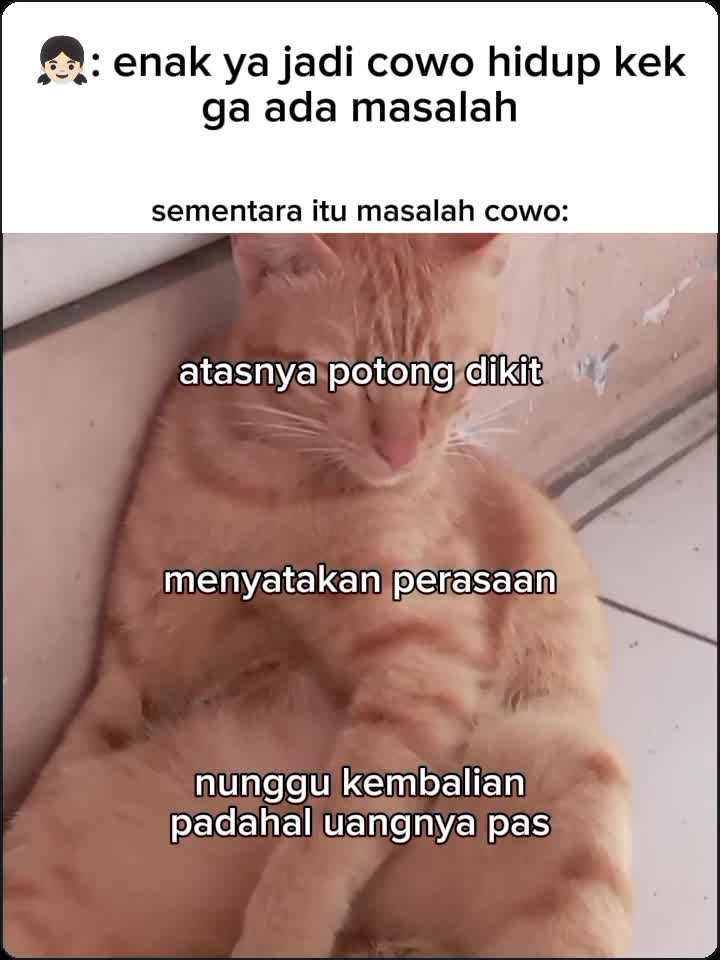 Enak ya jadi cowok??

#fyp 
#fypシ 
#Meme 
#kucingoyen
#RCTIPlus 