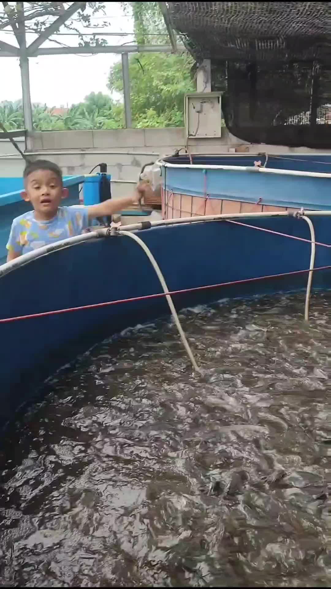 Atu mau kasih makan ikan dulu ya!!