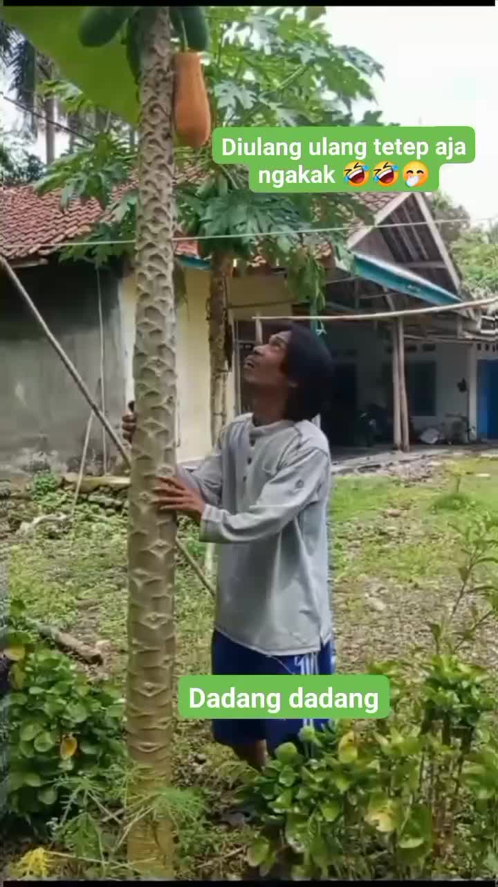 haha ,dasar maling 
 #pepayakalifornia  #komedilucu  #bobodoransunda