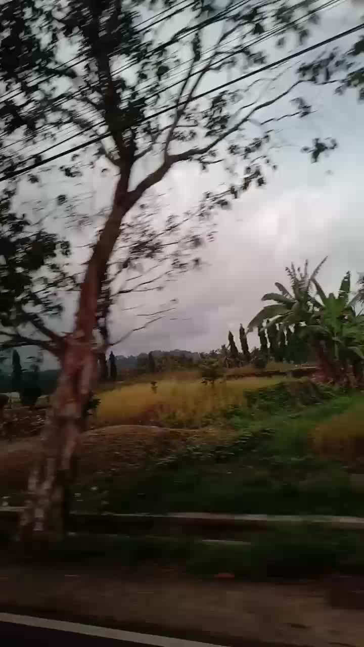 Pemandangan alam yang cantik nan asri di Karawang, Jawa Barat #RCTIPlus #VivoY17