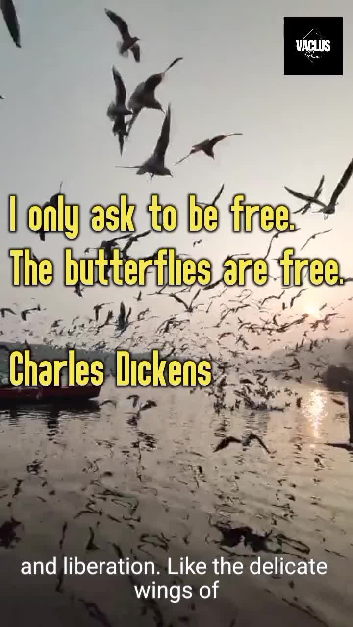 I only ask to be free. The butterflies are free.

Charles Dickens


