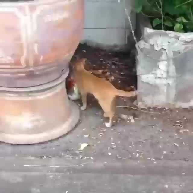 s oyen nya jajan dulu