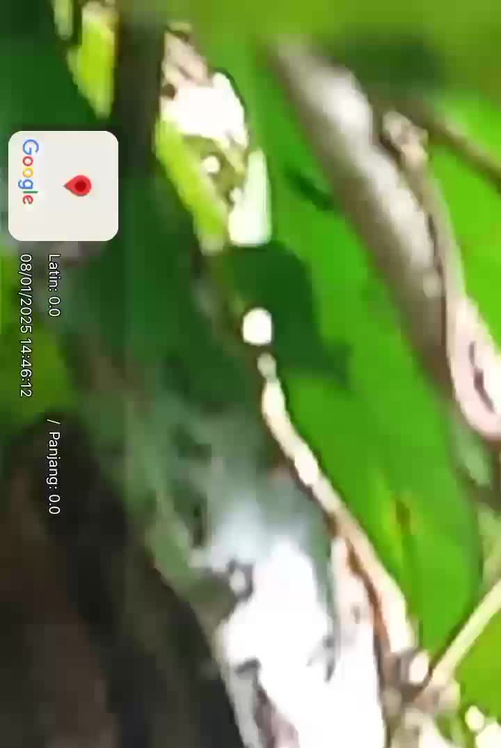 😁😁😁🫠🫠