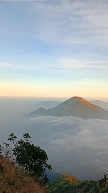 jangan di skip ada penampakan 