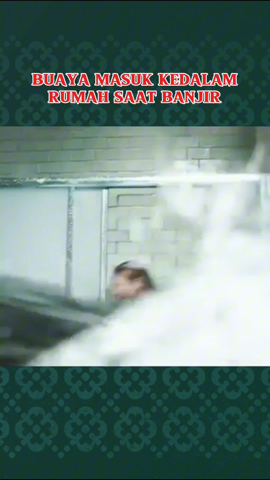 BUAYA MASUK RUMAH SAAT BANJIR

#alurceritafilm #film #storytelling #movieclips #filmpendek #shortfilm #filmtrending  #rekomendasifilmrekomen