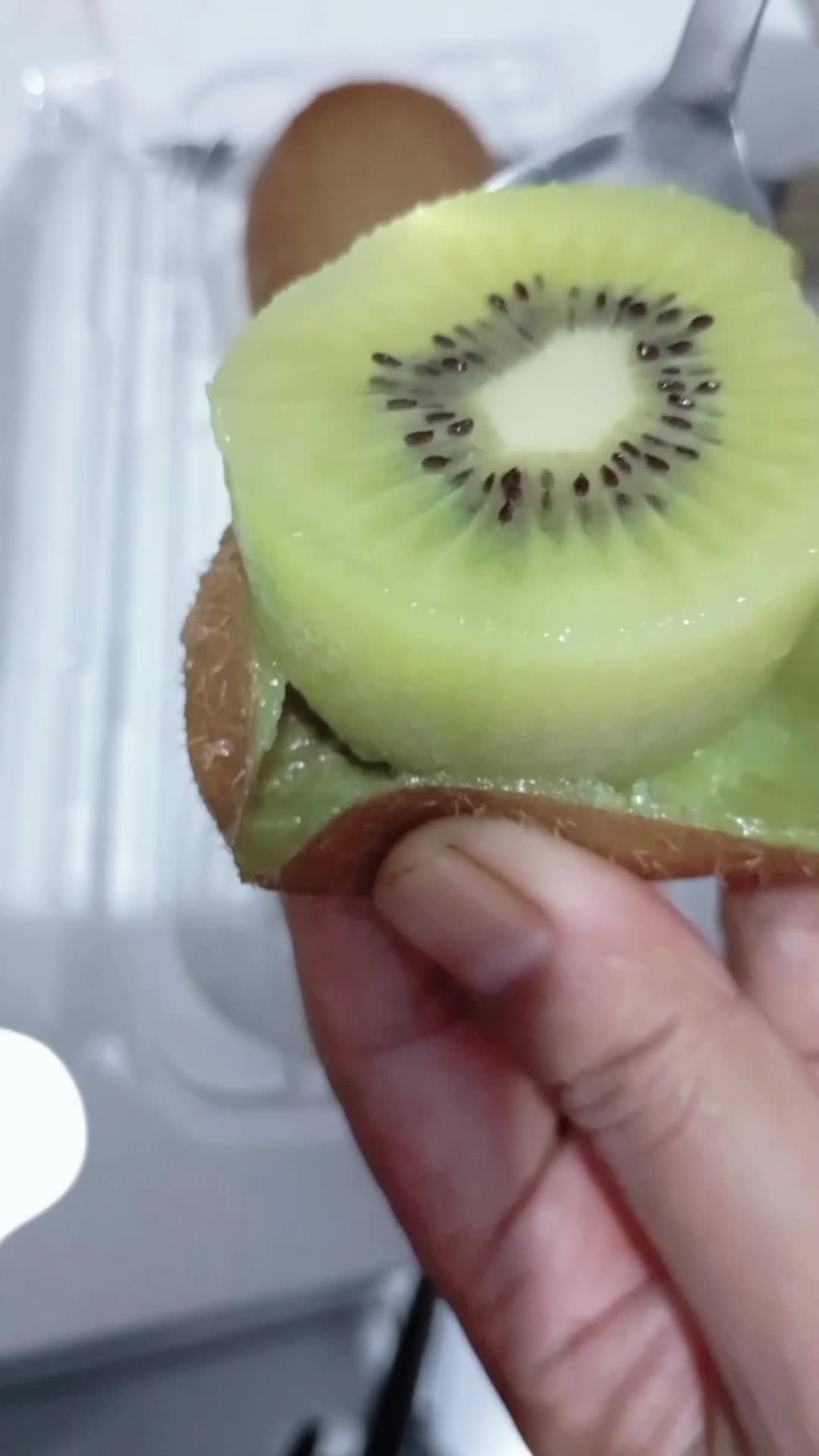 Makan buah kiwi 😍
