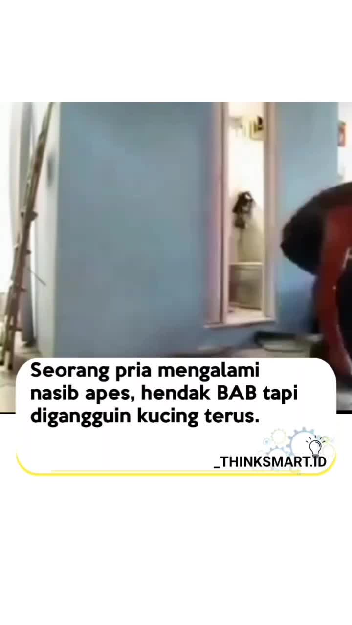iseng banget lu cing🤣 #ngakak banget 